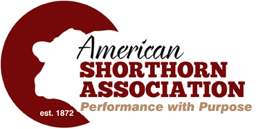 American Shorthorn Association